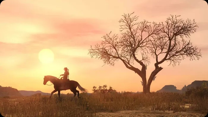 احتمال انتشار بازی Red Dead Redemption برای PC