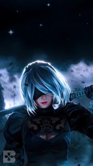 2B Automata