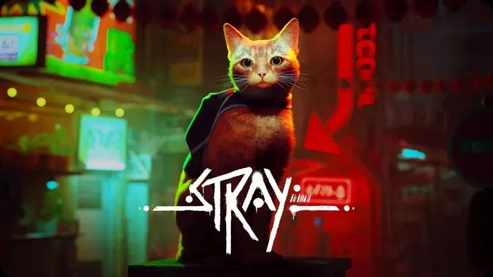 تاریخ انتشار بازی Stray برای نینتندو مشخص شد