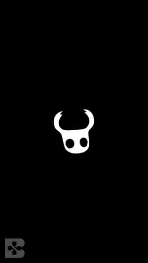 Hollow Night