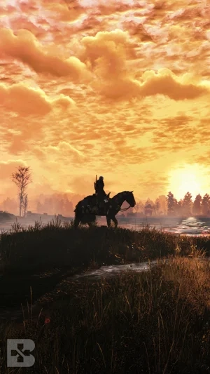 the witcher 3 next gen