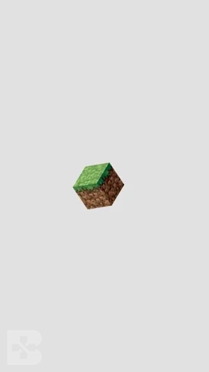 minecraft minimalism