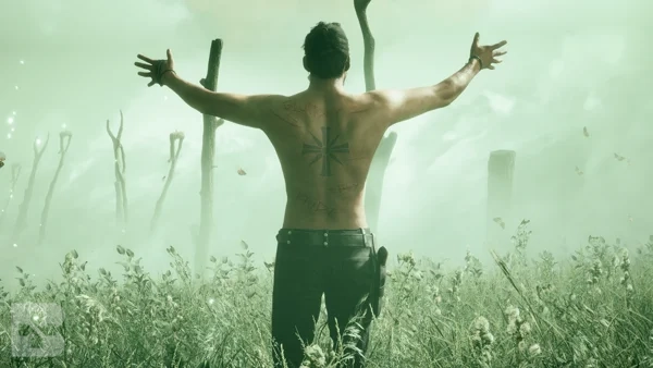 far cry 5 sinner