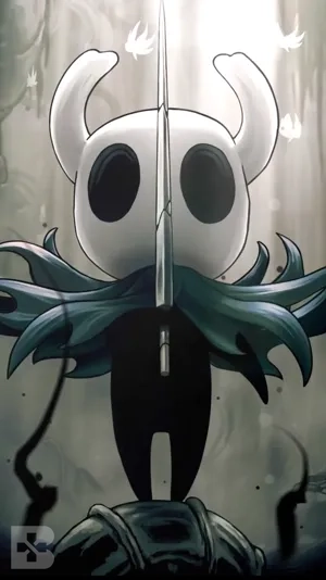 hollow knight echo of shadows