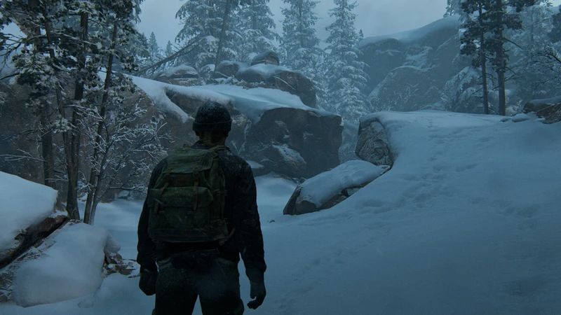 Snow Falls off Trees