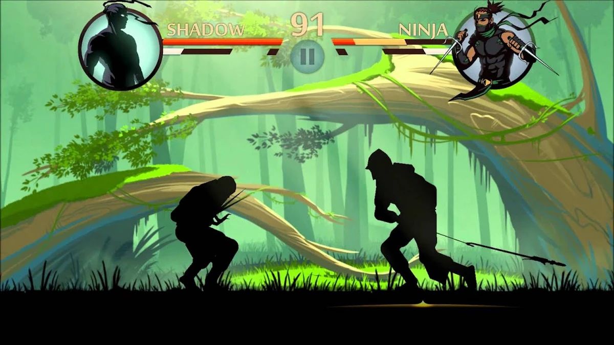 Shadow Fight 2