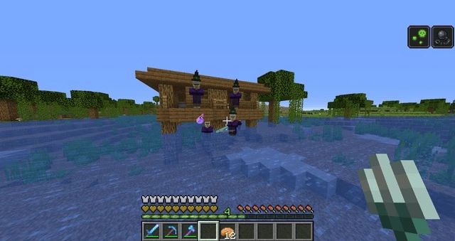 Minecraft Witch Farm
